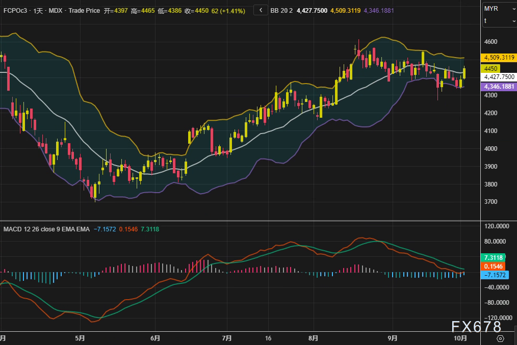 棕榈油市场观察：外围油脂走强与需求改善共筑价格支撑(图2)