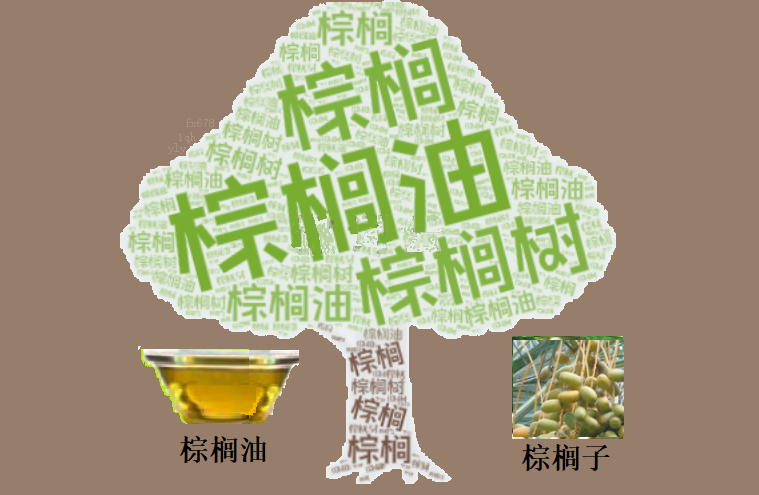 棕榈油三连跌承压，市场博弈库存与成本线